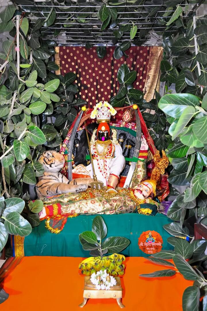 विठुरायालाही अतिशय दुर्मीळ अश्या ठेवणीतील दागिन्याने सजविण्यात आले