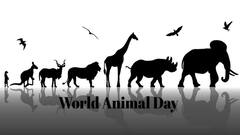 World Animal Welfare Day: ये हैं दुनिया के अजीबो-गरीब जीव, देखें लिस्ट