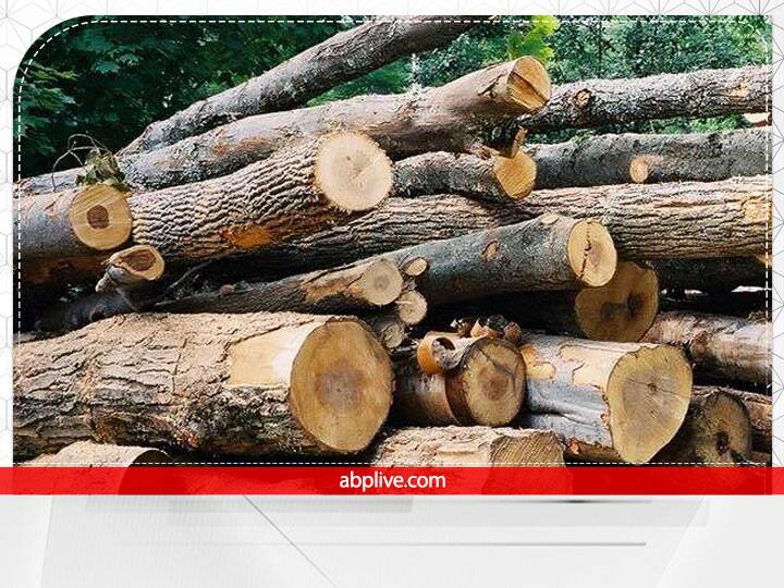 रावण दहन की लकड़ी- वास्तु शास्त्र में रावण दहन की लकड़ी से जुड़ा उपाय भी बताया गया है. वास्तु के अनुसार रावण दहन होने के बाद उसकी कुछ लकड़ी घर लाकर रख दें. माना जाता है कि ऐसा करने से घर की नकारात्मक ऊर्जा बाह जाती है और माता लक्ष्मी की कृपा प्राप्त होती है.