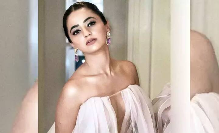 টেলিভিশন থেকেই একেবারে কান চলচ্চিত্র উৎসবের রেড কার্পেটে। হেলি শাহ পড়াশোনাতেও তুখোড়। বিজ্ঞানে স্নাতক তিনি।