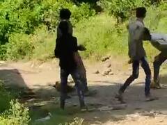 खरगोन में चार युवकों ने की बेजुबान कुत्ते की हत्या, वीडियो हो रहा सोशल मीडिया पर वायरल