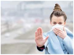 Air Purifier Plant: दिवाली पर घर लाएं ये 5 पौधे, प्रदूषण से करेंगे आपके परिवार का बचाव