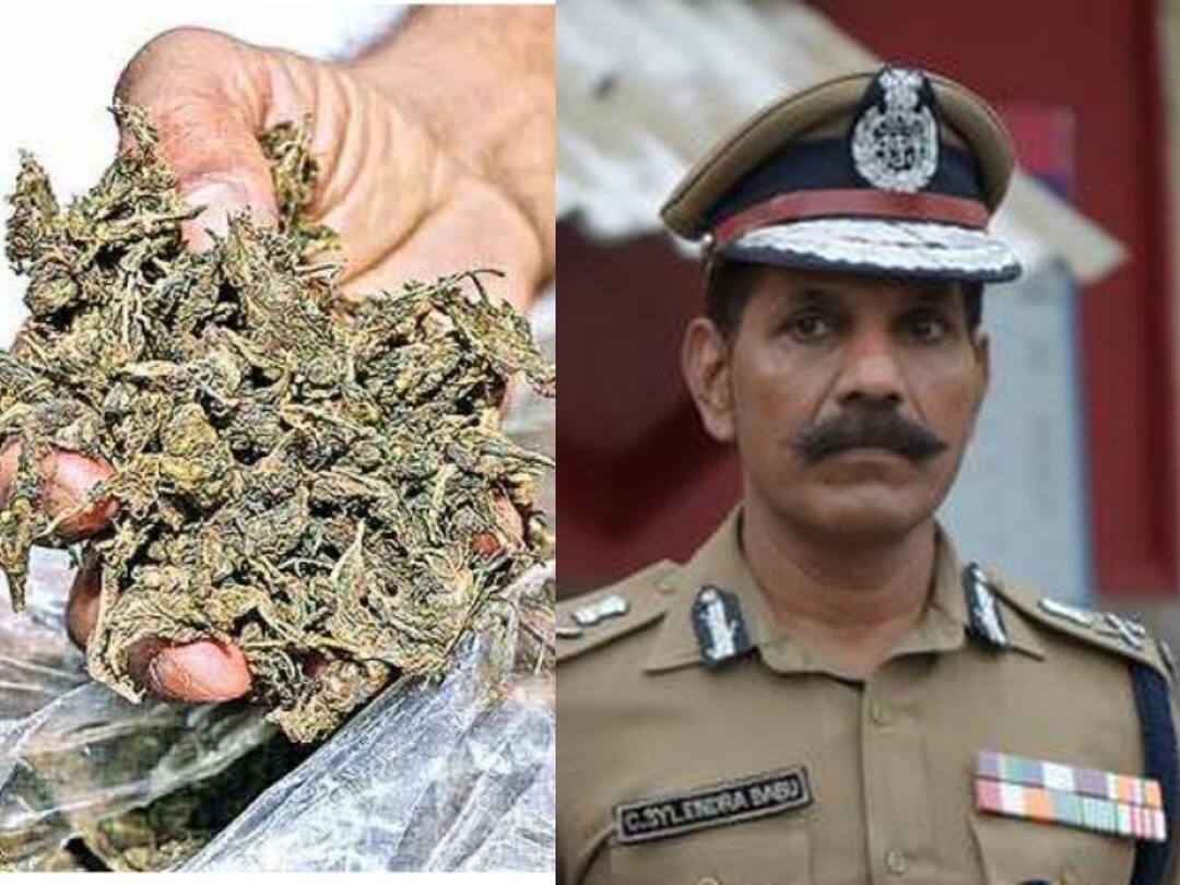 Operation Ganja : ஏழே மாதம்.. ரூ.50 கோடி மதிப்பிலான சொத்துகள்..கஞ்சா வியாபாரிகளின் சொத்துகளை முடக்கிய போலீஸ்!