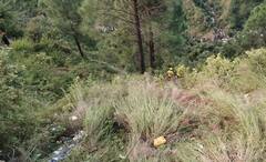 Pauri Bus Accident Update: પૌડી ગઢવાલ બસ અકસ્માતમાં 25ના મોત, SDRFએ રાતોરાત 21 લોકોને બચાવ્યા