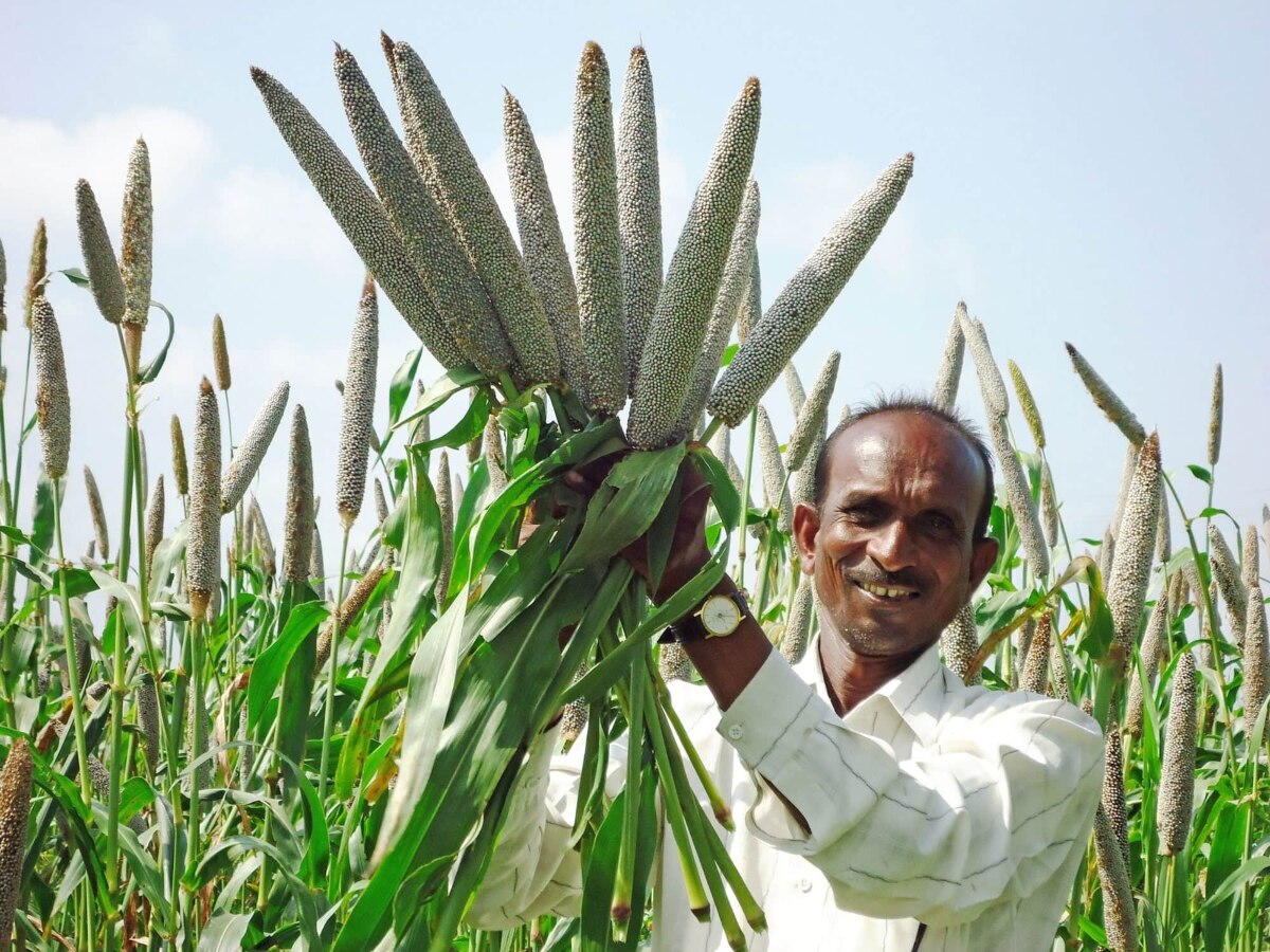 pearl millet : ஊட்டச்சத்துகள் நிரம்பிய கம்பு தினை ! என்னென்ன நன்மைகள் இருக்கு தெரியுமா ?