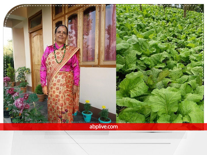 Success Story: Polyhouse में विदेशी सब्जियों की खेती से हुई चौतरफा कमाई, Organic Farming के लिये सरकार ने भी दिया ये खास अवॉर्ड