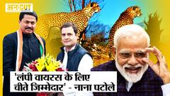 Lumpy virus को लेकर Nana Patole ने दिया बेतुका बयान