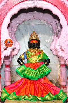 PHOTO: दसऱ्यादिवशी विठुराया बनला गुराखी तर रुक्मिणी माता विजयलक्ष्मीच्या रुपात