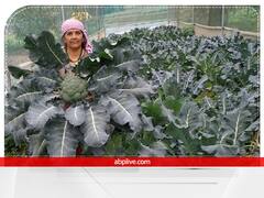 Polyhouse में विदेशी सब्जियों की खेती से हुई चौतरफा कमाई, Organic Farming के लिये सरकार ने भी दिया ये खास अवॉर्ड