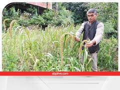 30 साल की मेहनत से बनाया 40 किस्मों का देसी बीज बैंक, 10 हजार किसानों को बांट चुके हैं मुफ्त बीज