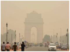 Air Purifier Plant: दिवाली पर घर लाएं ये 5 पौधे, प्रदूषण से करेंगे आपके परिवार का बचाव