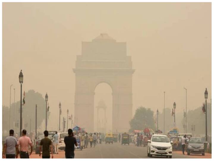 बढ़ते वायु प्रदूषण की वजह से न सिर्फ बीमारियां बढ़ रही हैं बल्कि इससे हर साल लोगों की उम्र भी घट रही है. आप घरों में नेचुरल एयर प्यूरीफायर प्लांट्स लगाएं. इससे घर के अंदर हवा को शुद्ध करने में मदद मिलेगी.