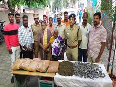 வீடு வாடகைக்கு எடுத்து கஞ்சா விற்பனை; விழுப்புரத்தில் மூதாட்டி கைது
