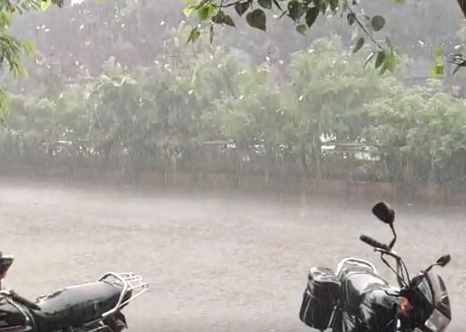 Maharashtra Rain : नांदेडसह परभणीला जिल्ह्याला परतीच्या पावसानं झोडपलं, शेती पिकं मातीमोल होण्याची शक्यता, शेतकरी संकटात