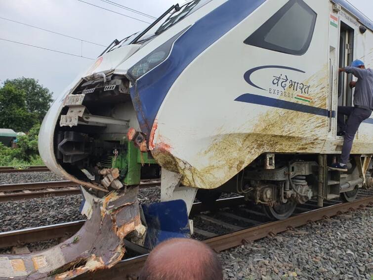 Vande Bharat train accident in Ahmedabad, the accident occurred when 4 buffaloes came between them Vande Bharat Train Accident: અમદાવાદમાં વંદે ભારત ટ્રેનને નડ્યો અકસ્માત, 4 ભેંસ વચ્ચે આવી જતા અકસ્માત સર્જાયો