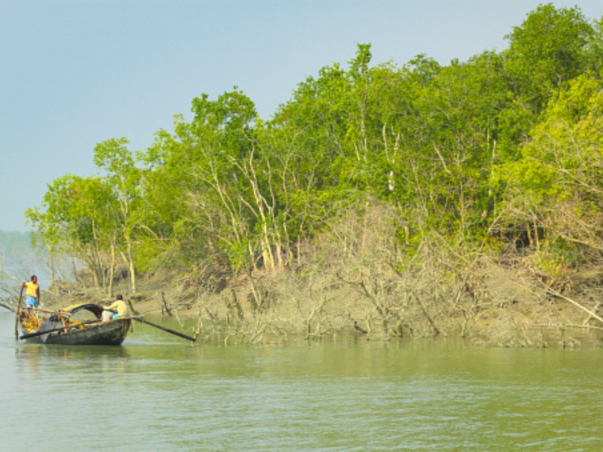 10 Indian Forests Every Nature Admirer Should Visit Once In Their Lifetime