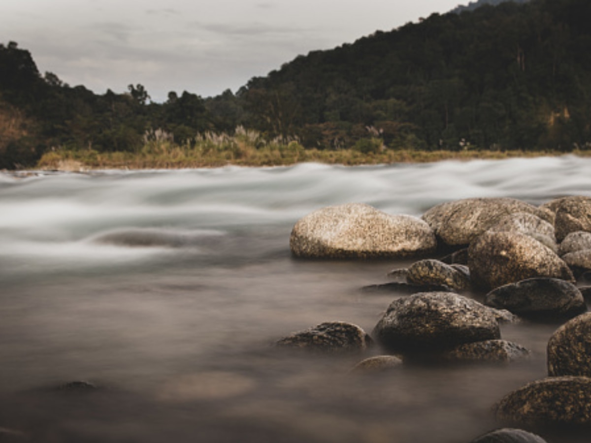 10 Indian Forests Every Nature Admirer Should Visit Once In Their Lifetime