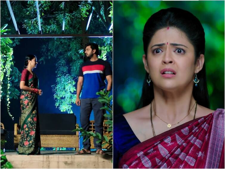 Devatha Serial October 6th Episode 670 Written Update Today Episode Devatha  October 6th Update: మాధవ్ ప్లాన్ సక్సెస్, ప్రకృతి వైద్యశాలకి సత్య- నర్స్ చెంప పగలగొట్టిన రుక్మిణి