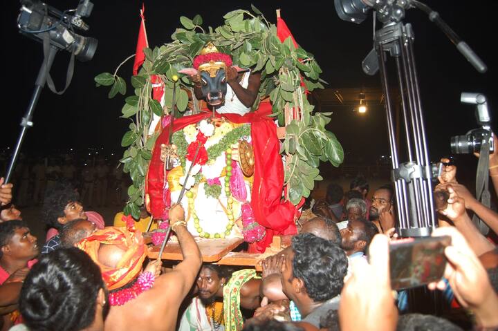 மூன்றாம் பந்தலில் உள்ள எருமைத் தலை வெட்டப்பட்டது