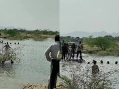 नसीराबाद में मूर्ति विसर्जन के दौरान दर्दनाक हादसा, डूबने से 6 लोगों की मौत