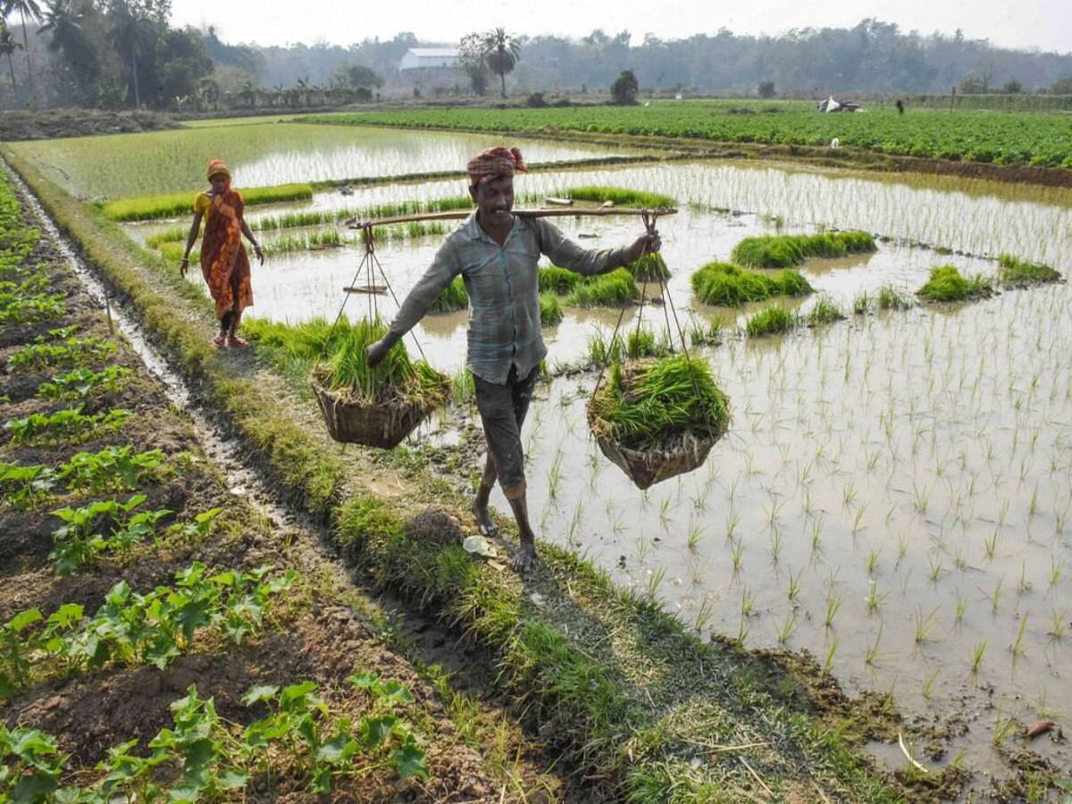 One lakh prize: விவசாயிகளுக்கு ரூ. 1 லட்சம்  பரிசு அறிவிப்பு - முழு விவரம் உள்ளே