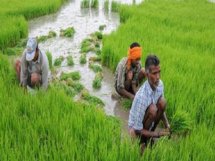 Tiruvannamalai: One lakh prize to the farmers who perform well in agriculture TNN One lakh prize: விவசாயிகளுக்கு ரூ. 1 லட்சம்  பரிசு அறிவிப்பு - முழு விவரம் உள்ளே