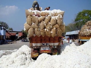 कापसाला पहिल्याच दिवशी मिळाला अकरा हजारांचा भाव; शेतकऱ्यांमध्ये समाधानाचे वातावरण