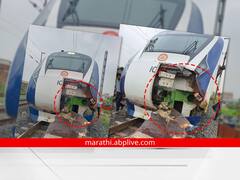 Vande Bharat Express : म्हशीच्या कळपाला धडक अन् वंदे भारत एक्सप्रेसचं रुपडं बिघडलं; गुजरातमध्ये अपघात