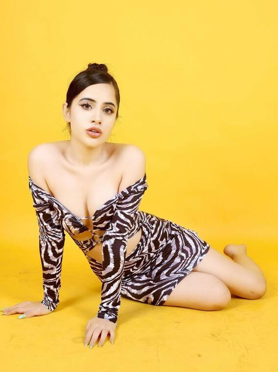 करियर के शुरुआती दौर में पैसों के लिए उर्फी जावेद करती थीं ये काम