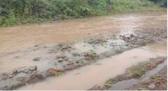 PHOTO: परतीच्या पावसाने हिंगोलीत सोयाबीनसह कापसाचं मोठं नुकसान