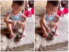 पक्षी का बेबीसिटर बना प्यारा बेबी, चॉपस्टिक से खिलाई आइसक्रीम