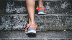 Health tips: সারাদিনে কতবার সিঁড়ি দিয়ে ওঠানামা করা স্বাস্থ্যকর?