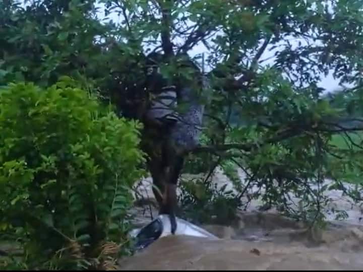 Vikarabad washed away in flood water, passengers safe after catching tree Vikarabad: వాగులో కొట్టుకుపోయిన కారు, చెట్టును పట్టుకొని అంతా సేఫ్! రాత్రంతా దానిపైనే