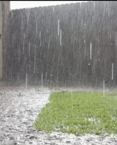 Photo : आज राज्यात पावसाचा यलो अलर्ट