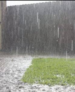 राज्यात विविध ठिकाणी पावसाची हजेरी