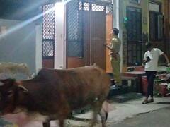 उदयपुर: 'रात को पापा की आवाज गूंजती है, नींद खुलती है, रोता हूं...', कन्हैयालाल के घर के अंदर का दर्द कौन समझेगा?