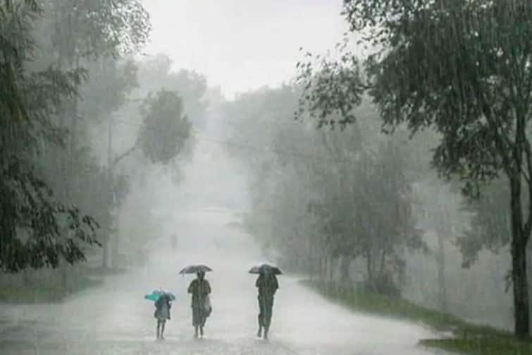 MP Meteorological Department has issued rain alert in 25 districts today ANN MP Weather Today: मध्य प्रदेश के इन 25 जिलों में आज होगी बारिश, मौसम विभाग ने जारी किया अलर्ट
