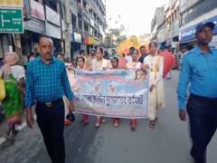 Durga Puja Carnival: বর্ণাঢ্য শোভাযাত্রা, জেলায় জেলায় দুর্গাপুজোর কার্নিভাল আয়োজন