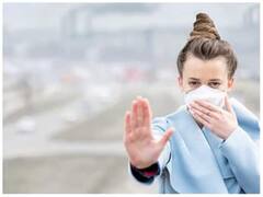 Air Purifier Plant: દિવાળી પર ઘરે લાવો આ 5 છોડ, તમારા પરિવારને પ્રદૂષણથી બચાવશે