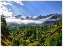 Kasauli Trip: भीड़ से दूर सुकून के पल बिताने हैं तो चले जाएं कसौली, बेहद खूबसूरत है ये हिल स्टेशन