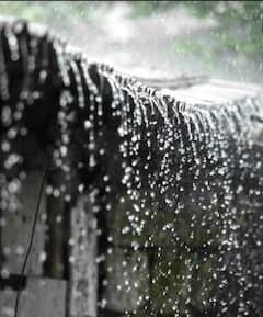 Photo : आज राज्यात पावसाचा यलो अलर्ट