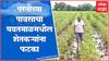Yavatmal Rain  : यवतमाळ जिह्यात मुसळधार, पावसामुळे शेतकऱ्यांचे पिकांचे नुकसान ABP Majha
