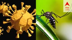 পুজোর পরে চোখ রাঙাচেছ ডেঙ্গি, নবরাত্রির পর কি বাড়ল করোনাগ্রাফও?