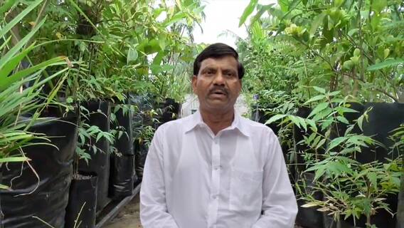 Ramachandrapuram Terrace Garden : మిద్దెతోటతో ఎన్ని లాభాలో చెబుతున్న లాయర్ | DNN | ABP Desam