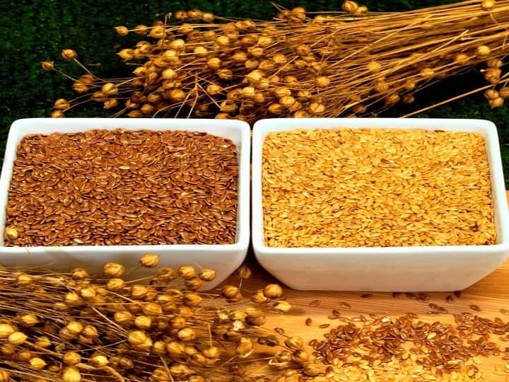 Flaxseed Farming: ये है इस सीजन की सबसे किफायती खेती, कम पानी में ही मिल जाती है बंपर पैदावार