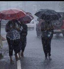 पावसामुळं शेती पिकांचे नुकसान