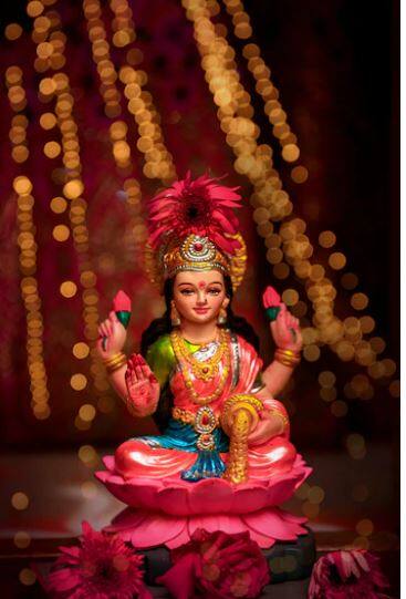 শাস্ত্রমতে সমৃদ্ধি, অর্থ, দ্রব্য, রত্ন এবং ধাতুর অধিপতি দেবীকে বলা হয় লক্ষ্মী। শাস্ত্রজ্ঞরা বলেন, লক্ষ্মী লাভের কিছু উপায় আছে, যা করলে তিনি প্রসন্ন হন এবং তার কৃপা বর্ষণ করেন।