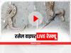 Russell Viper Snake: बिहार के भागलपुर में मिला दुनिया का खतरनाक सांप रसेल वाइपर, वीडियो देख कांप जाएगी रूह
