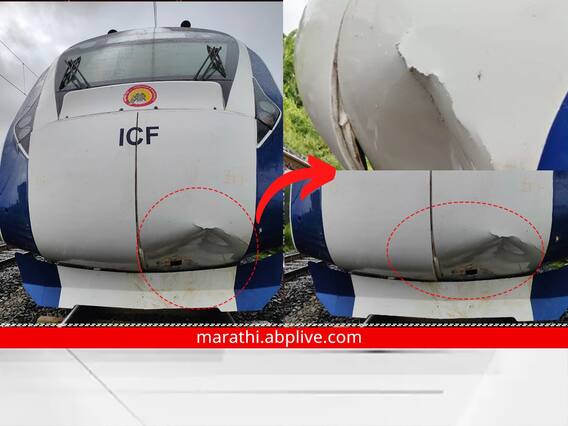 वंदे भारत एक्स्प्रेसचा सलग दुसऱ्या दिवशी अपघात; पुन्हा जनावरं धडकली