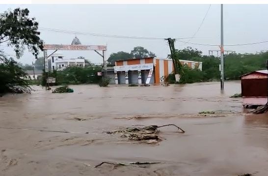 Madha Rain News : माढ्यासह करमाळा तालुक्यात तुफान पाऊस, ढवळसमध्ये ढगफुटी, शेती पिकांचं मोठं नुकसान 